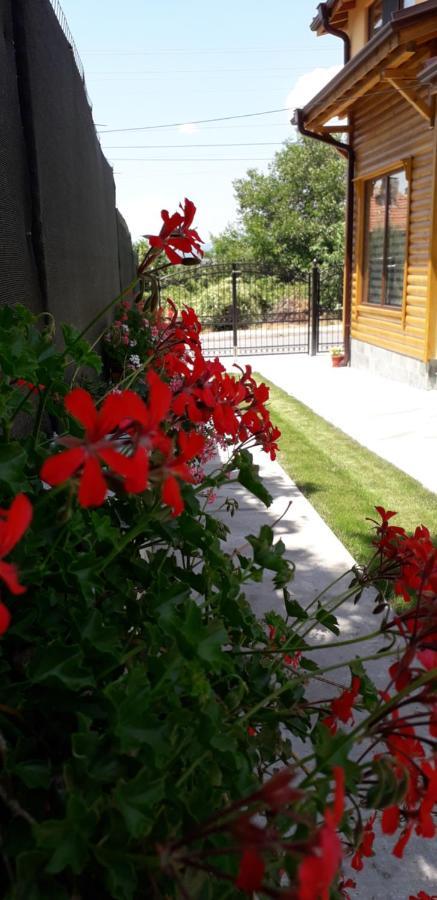 Guest House Ideal Сапарева-Баня Экстерьер фото